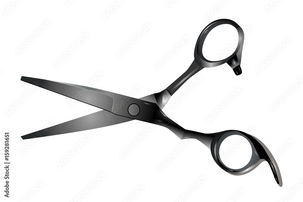Professional hairdressing scissors isolated on white background. Vector Professional hairdressing scissors isolated on white background. Vector
