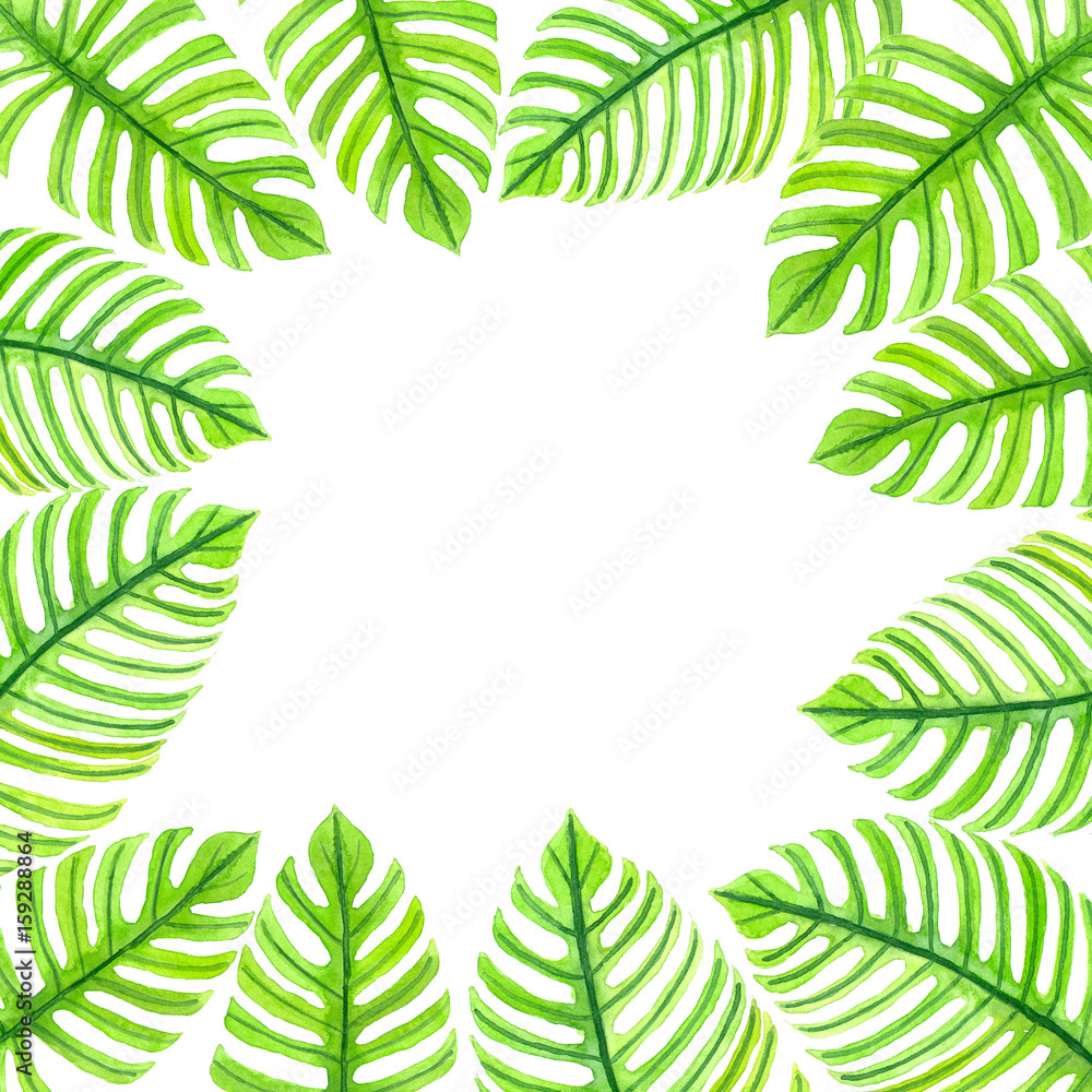 Frame made of tropical leaves
