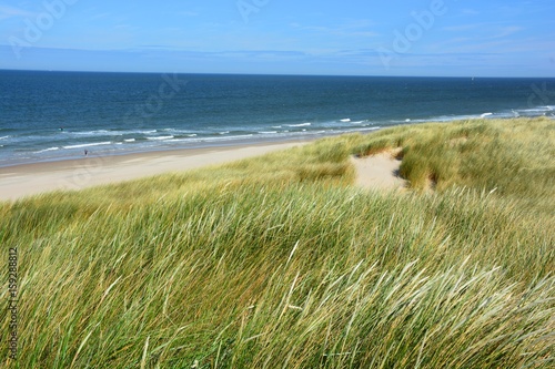 D  ne auf Texel  Niederlande