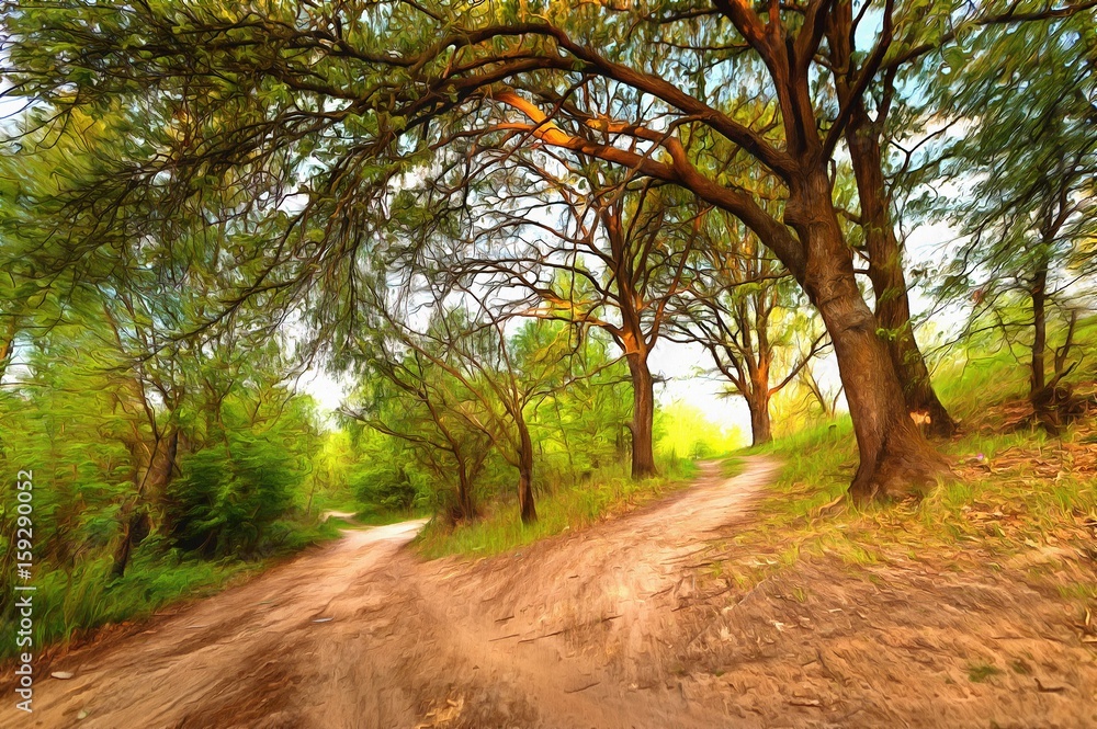 Forest roads on hilly terrain in the forest