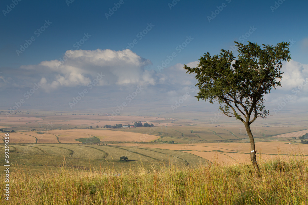 Drakensberg South Africa Landscape