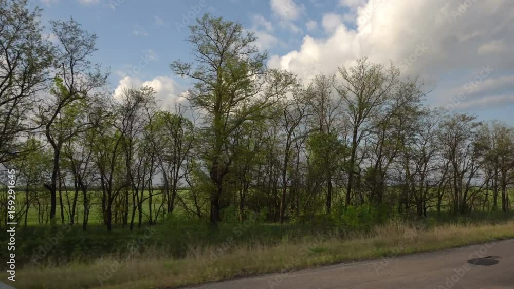 Shooting from the window of a traveling car. Sky and fields with trees Shooting from the window of a traveling car. Sky and fields with trees