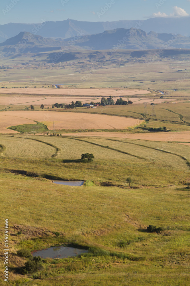 Fototapeta premium Drakensberg Fields South Africa