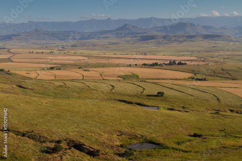 Drakensberg Fields South Africa