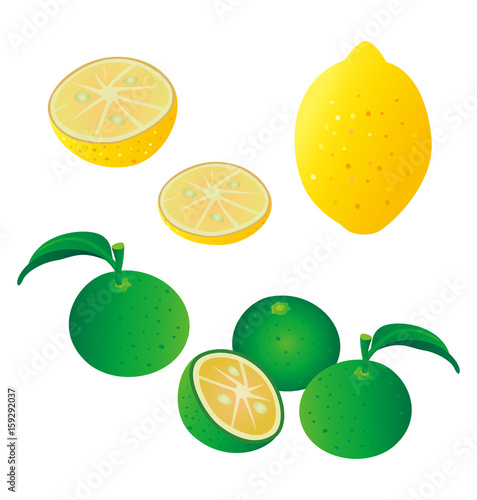 柑橘類イラスト（レモン、カボス）