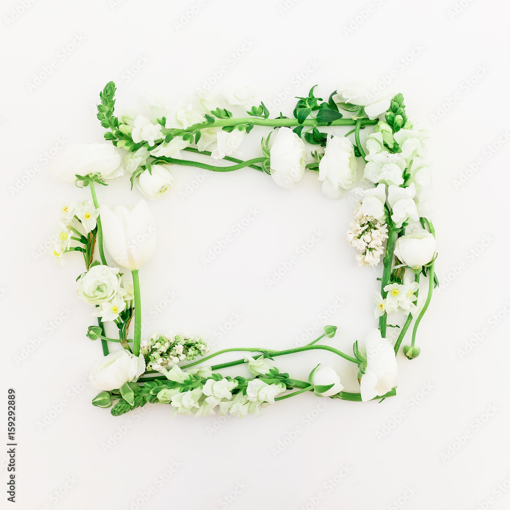Frame of white flowers on white background. Frame background of flowers. Flat lay, top view. Frame of white flowers on white background. Frame background of flowers. Flat lay, top view.