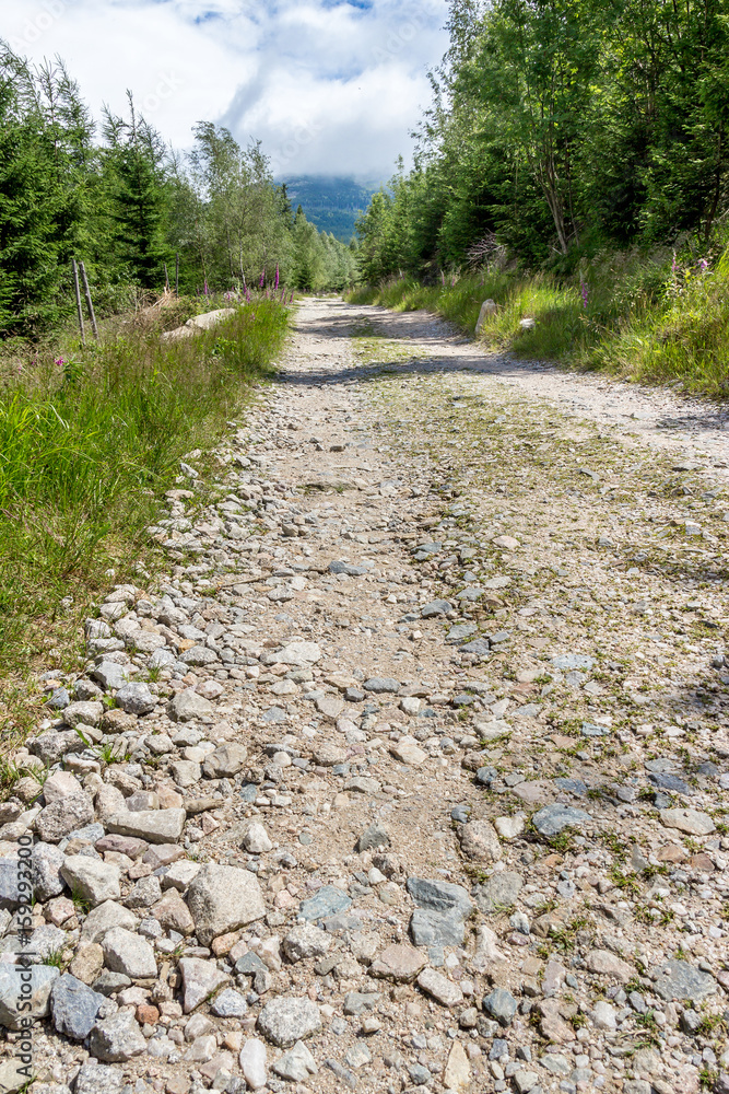 The trail in the mountains The trail in the mountains