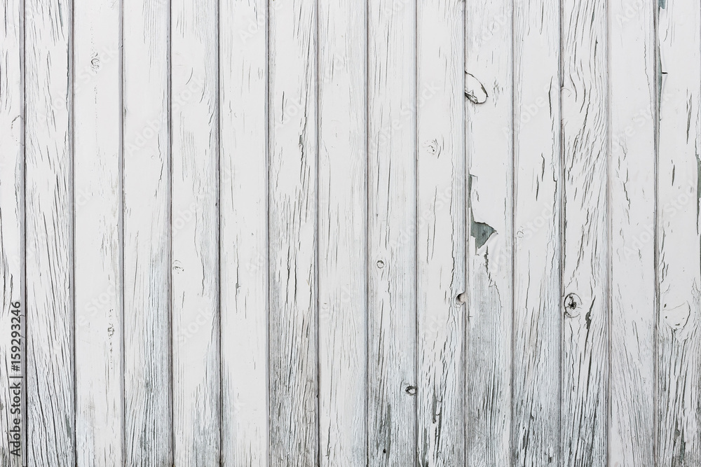 The white wood texture with natural patterns background The white wood texture with natural patterns background