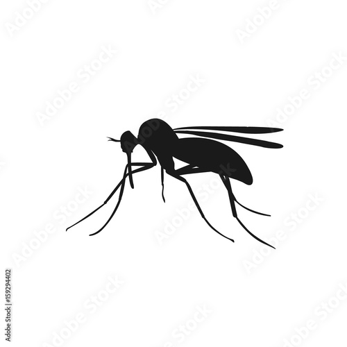 icon of mosquito, vector illustration 
