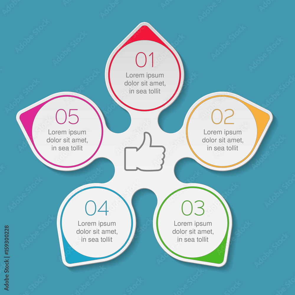 Fototapeta premium Vector infographic template, 5 options.