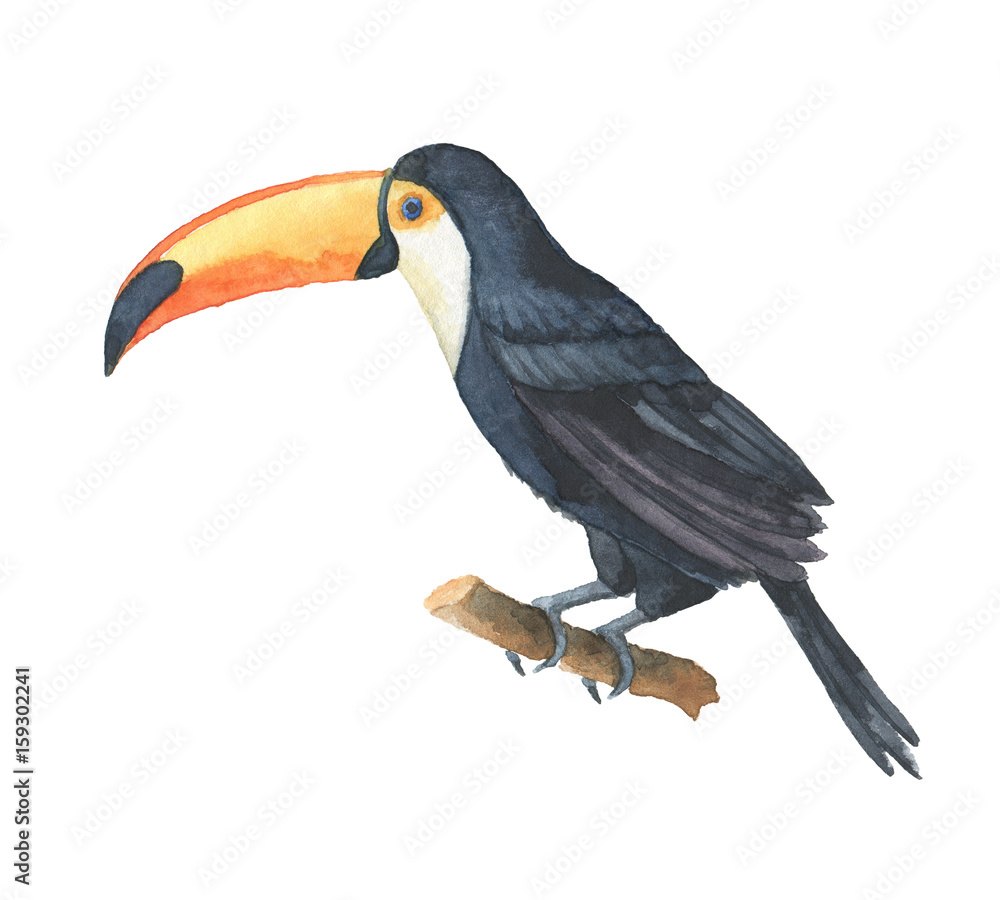 Obraz premium Watercolor of toucan isolated on a white background.