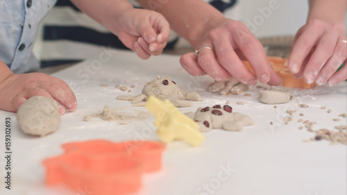 Mother helping little boys to make animal cookies