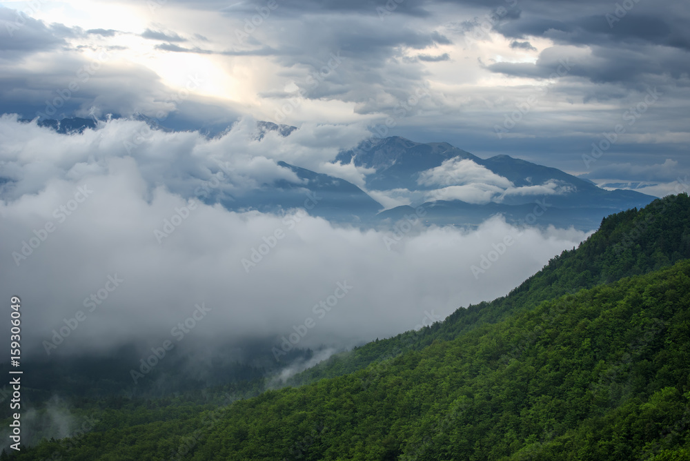 Mountain landscape shortly after spring rain. Slovenian Alps. Forest Road, venerable tree, fog, clouds and peaks. The village of Jamnik Slovenia.