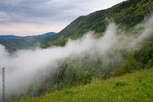 Mountain landscape shortly after spring rain. Slovenian Alps. Forest Road  venerable tree  fog  clouds and peaks. The village of Jamnik Slovenia.