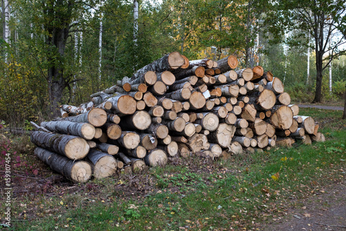 A large pile of wood lies in the woods and is expected to be transposed to the sawmill
