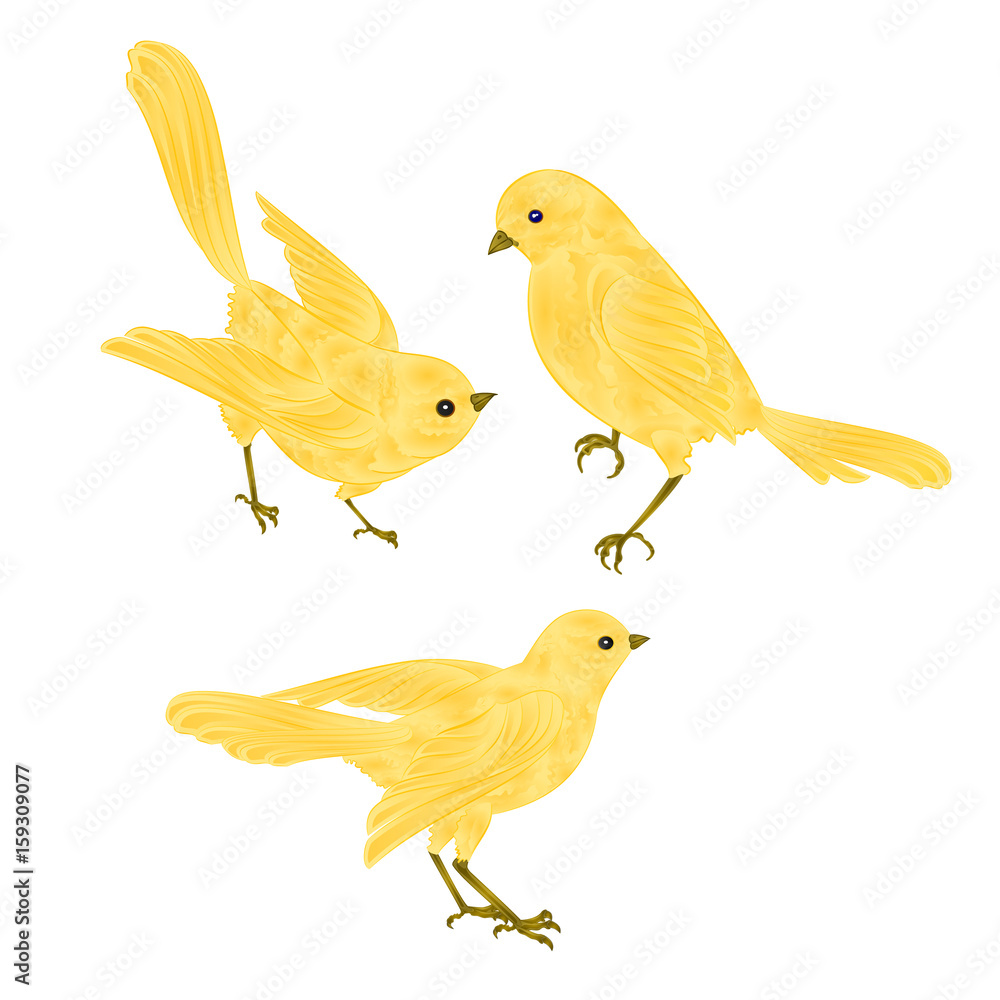 Singing Canary Clip Art