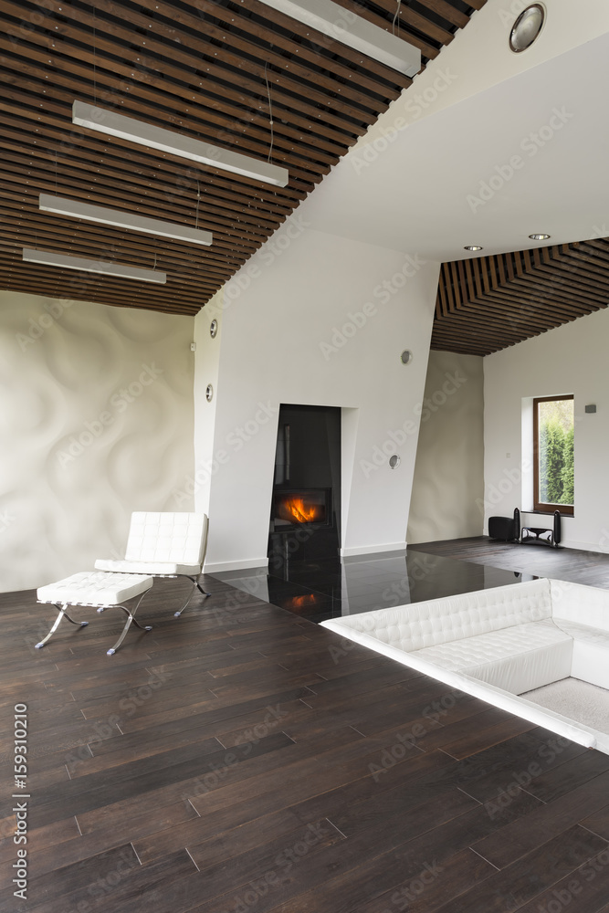 Fireplace in lounge