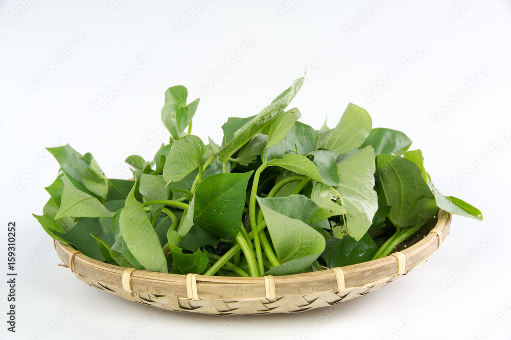 Sweet potato leaves in a bamboo isolated on white background
Sweet potato leaves in a bamboo isolated on white background