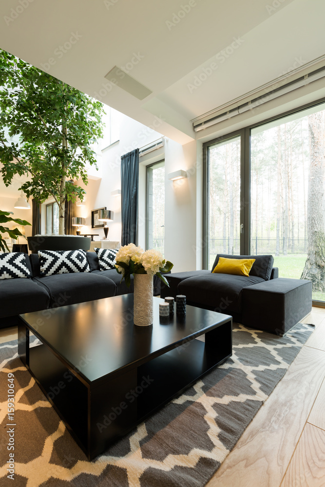 Fototapeta premium Modern living room with stylish couch