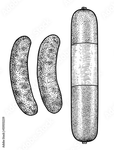 Sausage and salami illustration, drawing, engraving, ink, line art, vector