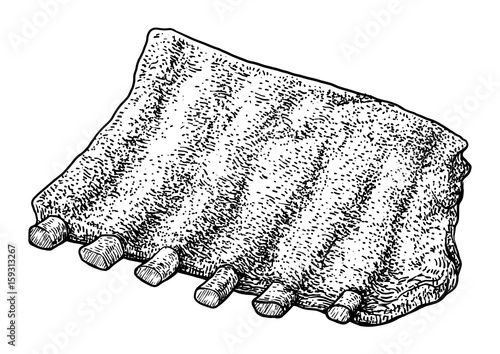 Pork ribs illustration, drawing, engraving, ink, line art, vector