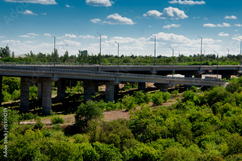 Building a bridge with vegetation