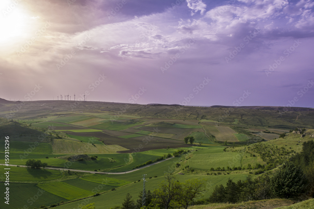 Obraz premium Green Grass Field Landscape with fantastic clouds in the background