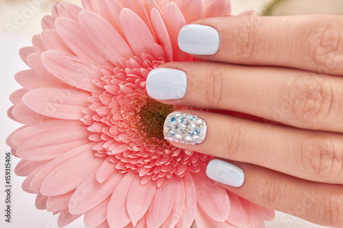 Close-up of a woman's manicure and a pink gerbera.