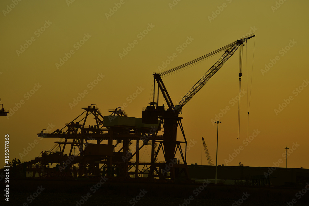 Port crane bridge and bulk carrier Port crane bridge and bulk carrier