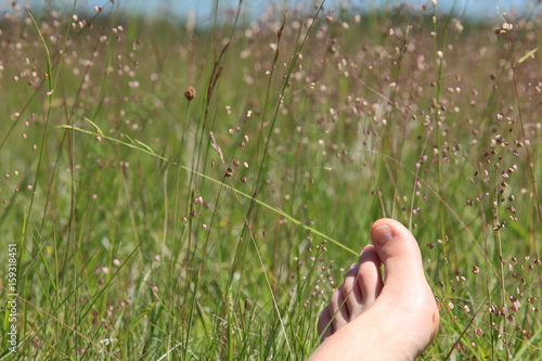 Fuß in Sommerwiese beim Sonnenbad photo