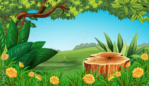 Scene with stump tree and field