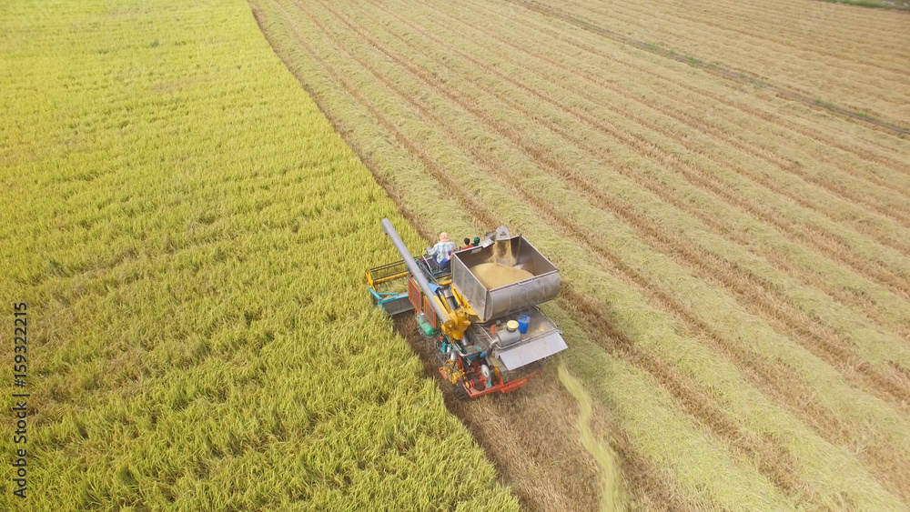 Aerial view of combine on harvest field Aerial view of combine on harvest field