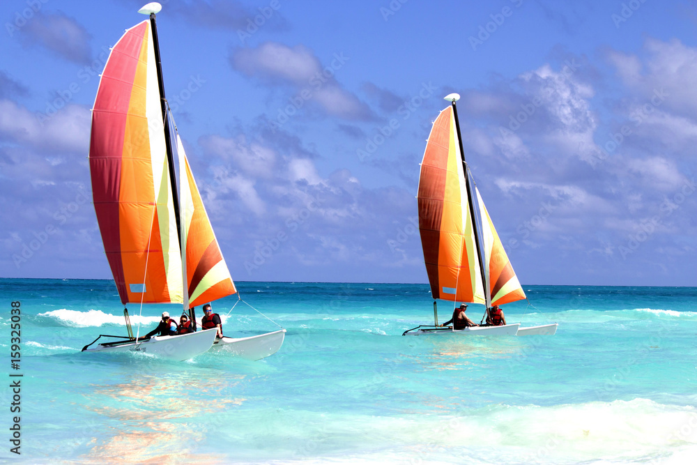 Two Catamarans on the ocean - obrazy, fototapety, plakaty 