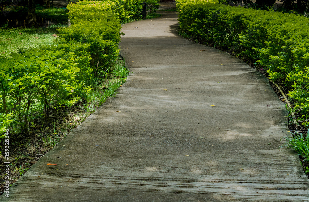 Concrete Pathway in garden Concrete Pathway in garden