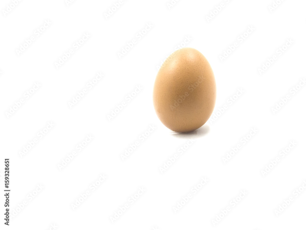 fresh egg chicken on white background, healthy concept fresh egg chicken on white background, healthy concept