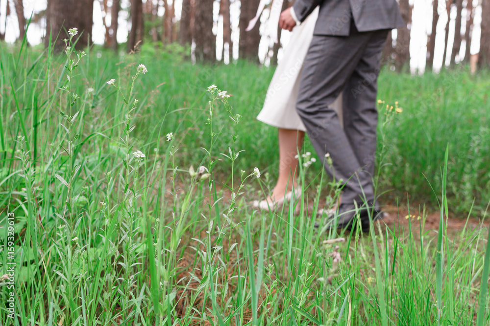 Groom and bride on a walk Groom and bride on a walk