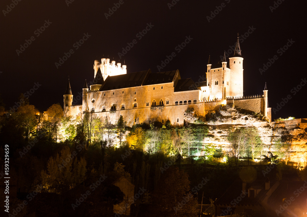 Castle of Segovia in midnight