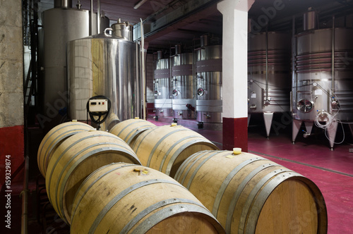 Wooden barrels and stainless tanks with processing wine
