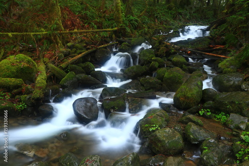 Stream1