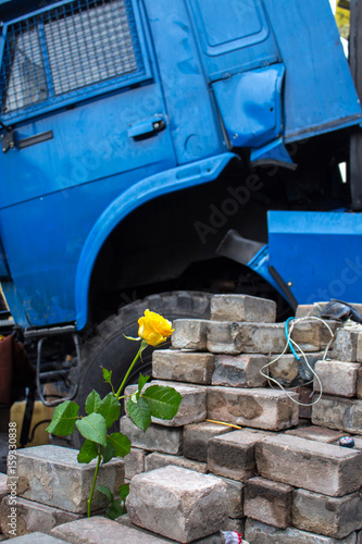 Rose on bricks barricade, which was built for protection from the revolutionaries police Revolution dignity, Ukraine, Kyiv, Grushevskogo street photo