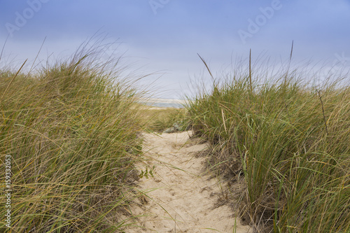 Cape Cod beach-USA 