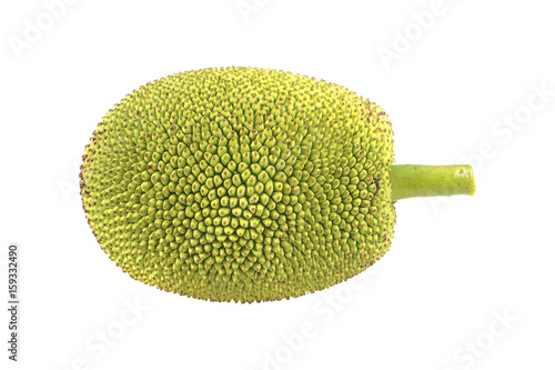 green jackfruit isolated on white