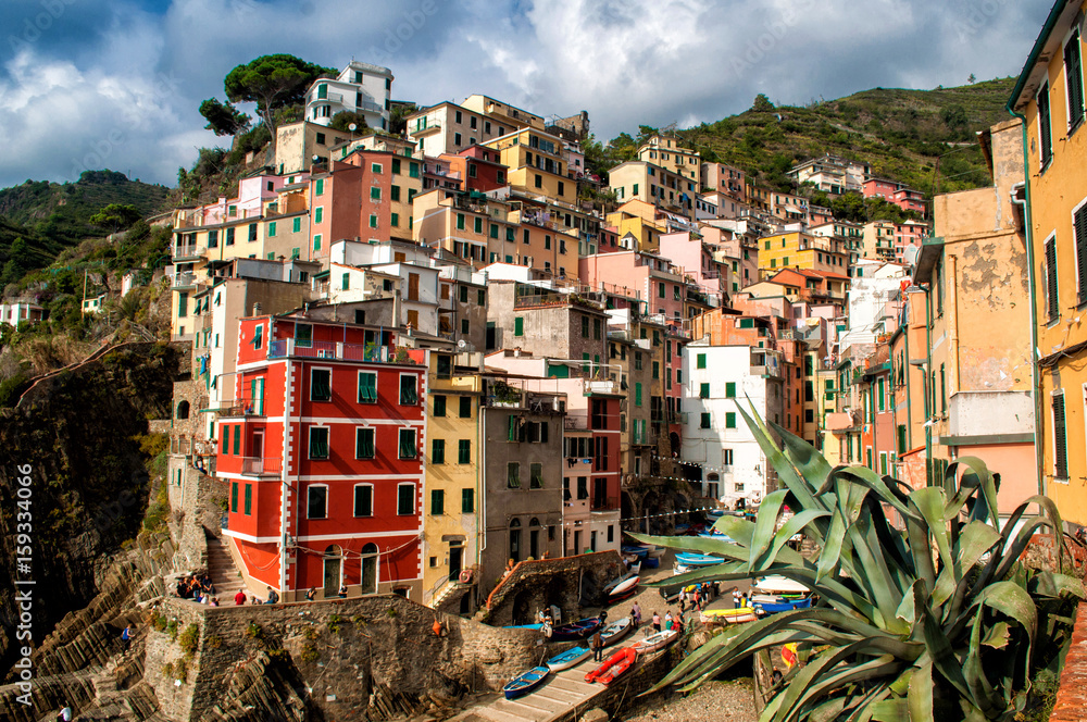 Cinque Terre , Italy - Colorful houses on the waterfront above the sea