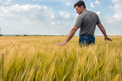 Man enjoys the rich wheat culture © IoaBal