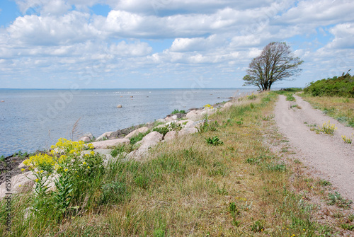 Coastal dirt road