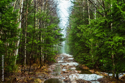 Fototapeta Naklejka Na Ścianę i Meble -  Spring landscape of path at Russian national park Taganay forest.