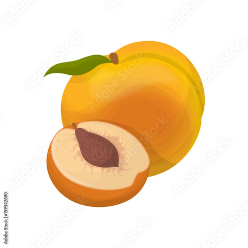 Isolated peach fruit.