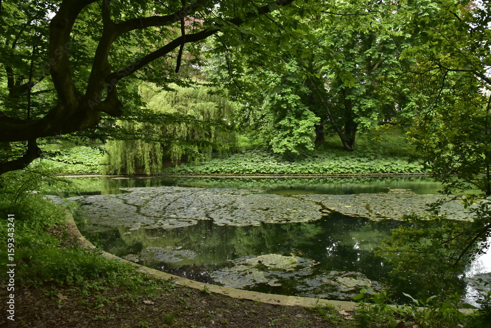 Coin d'un étang ombragé au parc Josaphat à Schaerbeek Coin d'un étang ombragé au parc Josaphat à Schaerbeek