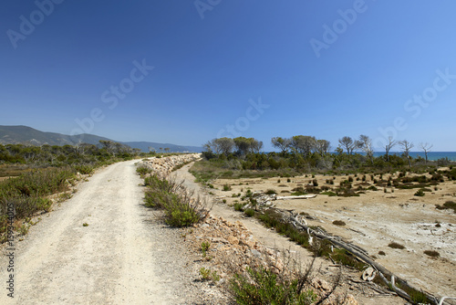 maremma