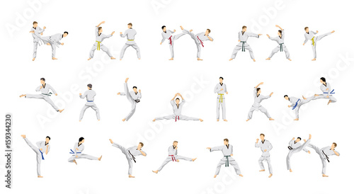 Canvas Print Taekwondo sport set.